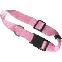 scarlet products Hunde-Halsband, scarlet pet Hundehalsband »Universal« Klickverschluss multifarbe/Größe