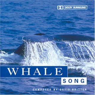 Whale Song