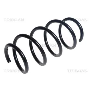 Triscan Feder Vorne Mercedes Citan 875023210