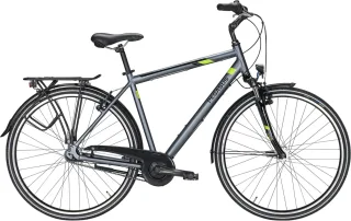 Citybikes  Pegasus Piazza 7 Herren grau (Rahmenhöhe: 48 cm | Körpergrösse 160 - 170 cm)