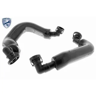 Vaico Reparatursatz f?r Kurbelgeh?use BMW 5er 6er 7er X5 V20-3356