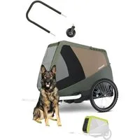 Croozer Fahrradhundeanhänger Dog Tammo Flex & Go Bundle (inkl. Buggyset und Regenverdeck)