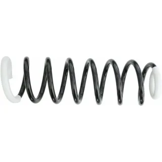 Sachs Feder hinten Mercedes A-Klasse W168 996598