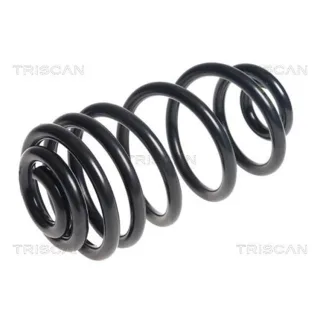 Triscan Feder hinten Opel Zafira 875024187