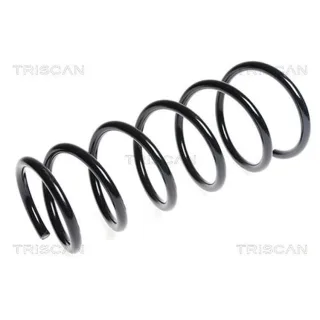Triscan Feder vorne Fiat Sedici Suzuki Sx4 875015223