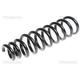 Triscan Feder vorne VW Touareg 3,0