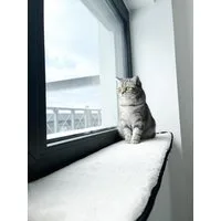 Ollesch Katzenliege Fensterbankauflage für Katzen 90 x 25 cm Katzenbett