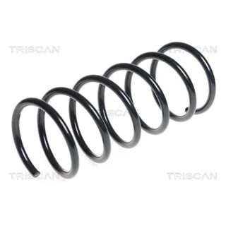 Triscan Feder vorne Hyundai I10 87504370