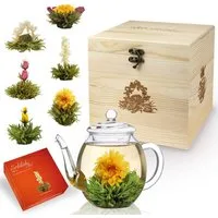 Creano Tee Creano Teeblumen-Mix Geschenkset, 500ml Teekanne, 6 Sorten ErblühTee, 1 x 1 St.