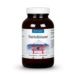 Nattokinase