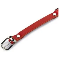 Beeztees Hunde-Halsband Hundehalsband Leder rot