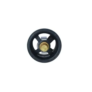 NRF Thermostat Porsche Carrera Gt 980 5,7