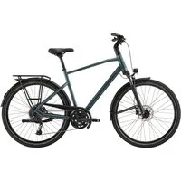 Pegasus Trekkingrad Pegasus Strong SL 20 Herren grün 2026, 20 Gang SHIMANO Cues RD-U6020, Kettenschaltung