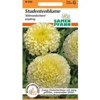 SAMEN PFANN Blumensamen Tagetes, Kilimandscharo - Saatgut Tagetes-Samen Samen, Tagetes erecta