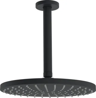 Hansa Kopfbrause, d 250 mm HANSAVIVA 4427, Matt-Schwarz, 4427020033 4427020033
