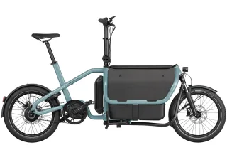 E-Bike    - Riese und Müller Carrie vario