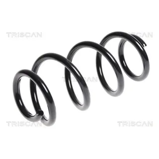 Triscan Feder vorne Audi A4 A5 A6 875029231