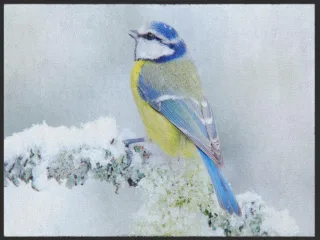 Fussmatte Vogel 5014 | Größe: 60 cm x 45 cm