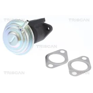 Triscan AGR-K?hler Audi A4 A5 A6 Q5 Seat Exeo 2,0