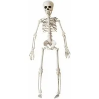 Horror-Shop Dekoobjekt Halloween Skelett 40 cm - Beweglich