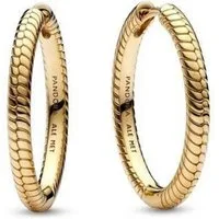 Pandora Paar Creolen SHINE-269532C00