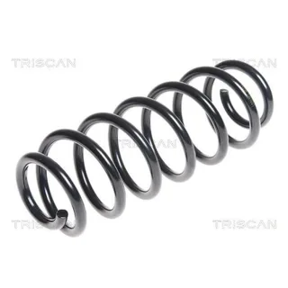Triscan Feder hinten VW Polo 9N 875029299