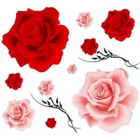 Hermann Schütz Aufkleber Aufkleber Rosenblüten-Set 300 x 300 mm rot/rosa