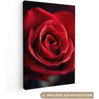 OneMillionCanvasses® Leinwandbild Rot - Rose - Romantisch, Fotodruck (1 St), Leinwand Canvas Wandbild, Wanddekoration 20x30 cm