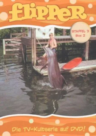 Flipper - Staffel 3 Box 2 [2 DVDs]