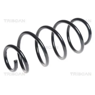 Triscan Feder vorne VW Polo 6R 1,6