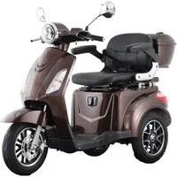 Aktiv mobil Elektromobil AM E-Trike Pro, 25 km/h mit Topcase, 1000 W, 25 km/h, Topcase Fassungsvermögen von ca. 36 Litern, Staufach mit ca. 24 Litern