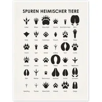 Posterlounge Wandbild Spuren heimischer Tiere I, Iris Luckhaus, erhältlich als Poster, Leinwandbild, Wandsticker oder Acrylglasbild
