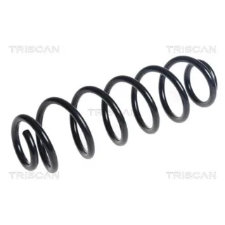 Triscan Feder hinten Audi A3 VW Golf 875029490