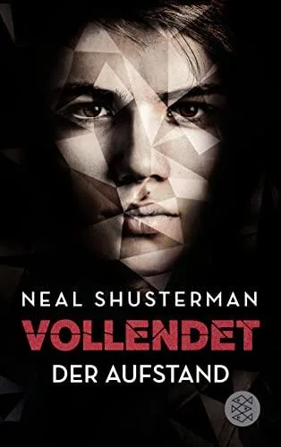 Vollendet - Der Aufstand (Band 2)