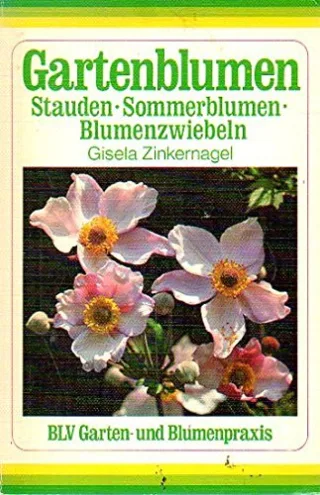 Gartenblumen Stauden Sommerblumen Blumenzwiebeln