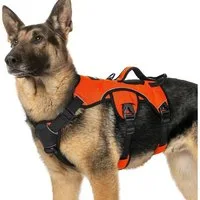LuxusKollektion Hunde-Sicherheitsgeschirr Hundegeschirr ausbruchsicher Panikgeschirr XL (1er Pack) Orange