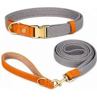 Illes-Laedchen Hunde-Halsband hochwertiges Hundehalsband & Hundeleine Set aus Nylon mit Leder, – Verstellbares Hunde Set in verschiedenen Größen & Farben