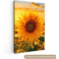 OneMillionCanvasses® Leinwandbild Sonnenblume - Blumen - Gelb - Blumenfeld mit Sonnenblumen, Fotodruck (1 St), Leinwand Canvas Wandbild, Wanddekoration 20x30 cm