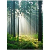 Bilderdepot24 Schiebegardine modern Flächenvorhang blickdicht Enlightened Forest (3 St), halbtransparent, Wohnzimmer große Flächengardine lichtdurchlässig für Klemm-System