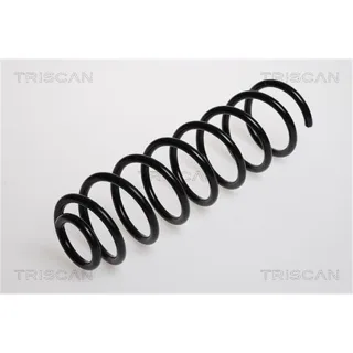 Triscan Feder hinten VW Polo 6N2