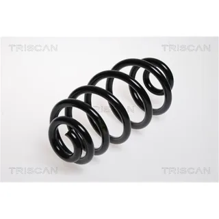 Triscan Feder hinten Audi A4 B6 B7 875029092