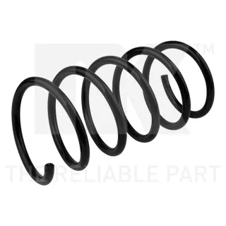 NK Feder vorne Renault Twingo 1 533908