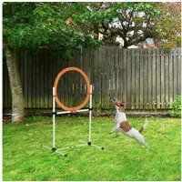 PawHut Agility-Hürde Springring für Haustier-Agility-Training, PE-Kunststoff, Hundetrainingsset (1-tlg) Weiß + Orange 74,5 x 66 x 91 cm