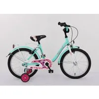 T&Y Trade Kinderfahrrad 18 Zoll Kinder Mädchen City Fahrrad Bike Rad Kinderfahrrad PASSION GRN, Gepäckträger, Stützräder