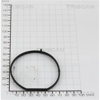 Triscan Dichtung f?r AGR-Ventil 88139938