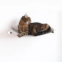 LucyBalu Katzen-Hängematte SWING Katzenhängematte aus Filz