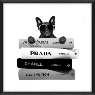 Bild BULLDOG ON BOOKS