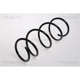 Triscan Feder vorne Renault Clio Thalia 1,5