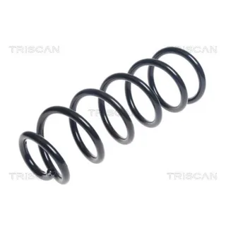 Triscan Feder hinten Mazda Cx-5 875050114