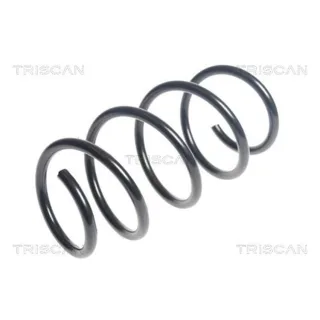 Triscan Feder vorne Seat Leon 875029435